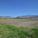 https://fotos15.apinmo.com/5292/16548892/1-6.jpg