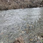 https://fotos15.apinmo.com/5292/17969668/2-8.jpg