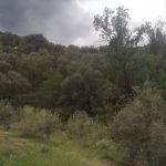 https://fotos15.apinmo.com/5292/17969658/2-4.jpg