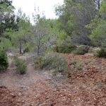 https://www.thepropertyteam.es/sites/001/images/5824-plot-land-for-sale-in-jalon/5824-plot-land-for-sale-in-jalon-58399-large.jpg