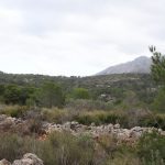 https://www.thepropertyteam.es/sites/001/images/5824-plot-land-for-sale-in-jalon/5824-plot-land-for-sale-in-jalon-58370-large.jpg