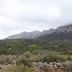 https://www.thepropertyteam.es/sites/001/images/5824-plot-land-for-sale-in-jalon/5824-plot-land-for-sale-in-jalon-58371-large.jpg