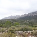https://www.thepropertyteam.es/sites/001/images/5824-plot-land-for-sale-in-jalon/5824-plot-land-for-sale-in-jalon-58372-large.jpg