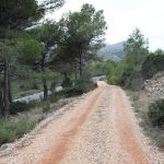 https://www.thepropertyteam.es/sites/001/images/5824-plot-land-for-sale-in-jalon/5824-plot-land-for-sale-in-jalon-58402-large.jpg
