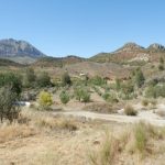 https://www.pricebrown.com/images/propertyImages/dv1406-villa-for-sale-in-velez-rubio/dv1406-villa-for-sale-in-velez-rubio-19607413.jpg