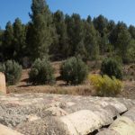 https://www.pricebrown.com/images/propertyImages/dv1406-villa-for-sale-in-velez-rubio/dv1406-villa-for-sale-in-velez-rubio-6160372.jpg