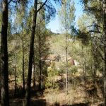 https://www.pricebrown.com/images/propertyImages/dv1406-villa-for-sale-in-velez-rubio/dv1406-villa-for-sale-in-velez-rubio-48349250.jpg