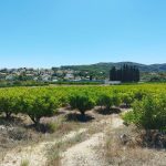 https://respacio-92aeb16a47056cced761e868d944d65d.s3.eu-west-3.amazonaws.com/property_attachment/detail_image/property_image_1to1epo26m_20230929064250.jpg