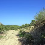 https://respacio-92aeb16a47056cced761e868d944d65d.s3.eu-west-3.amazonaws.com/property_attachment/detail_image/property_image_1lifuuad2c_20230823072124.jpg