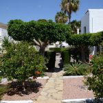 https://www.pricebrown.com/images/propertyImages/sg-apartment-for-rent-in-mojacar/sg-apartment-for-rent-in-mojacar-11456860.jpg