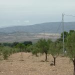 https://www.inlandvillasspain.com/images/viviendas/7217/w_6yz7z7b404h6i032ao8p.jpg