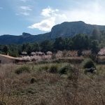 https://www.inlandvillasspain.com/images/viviendas/7322/w_4rszytxh0fqisorr627f.jpg