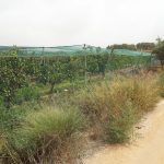 https://www.inlandvillasspain.com/images/viviendas/7305/w_j6t8tk3my6o8iez8gnkn.JPG