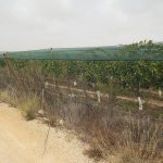 https://www.inlandvillasspain.com/images/viviendas/7305/w_jhe3ugq3sq8qnm77tpa0.JPG