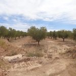 https://www.inlandvillasspain.com/images/viviendas/7526/w_ngab0d5pfkkrbxddsgsc.JPG