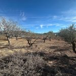 https://www.inlandvillasspain.com/images/viviendas/7577/w_23yxvja557tghr0k25u6.jpeg