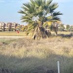 https://www.murciagolfproperties.co.uk/ml/283/f-main/properties/8411-1.jpg