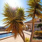 https://alicantemaravillas.com/media/images/properties/o_1hm48jia6dpv13kt8c6bg982u35.jpg