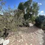 https://www.inlandvillasspain.com/images/viviendas/7700/w_u8h7txcumj4og775rund.jpeg