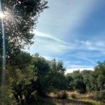 https://fotos15.apinmo.com/5292/20197500/2-2.jpg