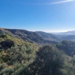 https://www.pricebrown.com/images/propertyImages/lanthorn-land-for-sale-in-bedar/lanthorn-land-for-sale-in-bedar-96174845.jpg