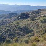 https://www.pricebrown.com/images/propertyImages/lanthorn-land-for-sale-in-bedar/lanthorn-land-for-sale-in-bedar-10032593.jpg