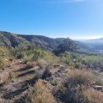 https://www.pricebrown.com/images/propertyImages/lanthorn-land-for-sale-in-bedar/lanthorn-land-for-sale-in-bedar-77750474.jpg