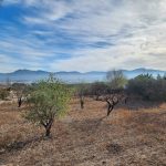 https://www.inlandvillasspain.com/images/viviendas/7737/w_5y34cvdti00mhxew4a2a.jpg