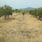https://www.inlandvillasspain.com/images/viviendas/7778/w_ryytmh8v8fmzqr3autci.jpeg