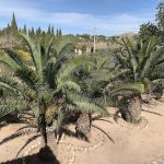 https://www.inlandvillasspain.com/images/viviendas/7743/w_bxavvmx6k6xb8kh6wej7.jpeg