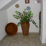 http://images.ultrait.me/551/Sales/1463392/1463392_1182.JPG
