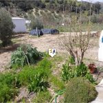 http://www.inlandandalucia.com/images/photos/properties/CJ852/CJ852_3.jpg