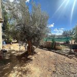 https://www.inlandvillasspain.com/images/viviendas/7825/w_z7m0oi4fwnxe3uweitx7.jpeg