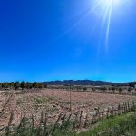 https://www.inlandvillasspain.com/images/viviendas/7827/w_cjxc5n3cdio5fe2ujr7w.jpeg
