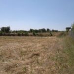 https://fuentealamorealestate.com/wp-content/uploads/2022/04/653-land-for-sale-in-moratalla-7-large.jpg
