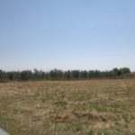 https://fuentealamorealestate.com/wp-content/uploads/2022/04/653-land-for-sale-in-moratalla-8-large.jpg