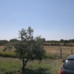 https://fuentealamorealestate.com/wp-content/uploads/2022/04/653-land-for-sale-in-moratalla-2-large.jpg