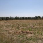 https://fuentealamorealestate.com/wp-content/uploads/2022/04/653-land-for-sale-in-moratalla-5-large.jpg