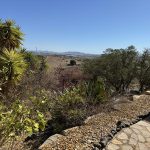 https://www.pricebrown.com/images/propertyImages/dv1572-villa-for-sale-in-los-gallardos/dv1572-villa-for-sale-in-los-gallardos-20983068.jpg