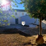 http://www.inlandandalucia.com/images/photos/properties/CJ803/CJ803_1.jpg