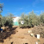 http://www.inlandandalucia.com/images/photos/properties/CJ803/CJ803_4.jpg