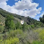 http://www.inlandandalucia.com/images/photos/properties/PL264/PL264_1.jpg
