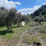 http://www.inlandandalucia.com/images/photos/properties/PL264/PL264_2.jpg