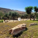 http://www.inlandandalucia.com/images/photos/properties/VL1189/VL1189_2.jpg