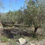 https://respacio-92aeb16a47056cced761e868d944d65d.s3.eu-west-3.amazonaws.com/property_attachment/detail_image/property_image_19p8ogja0i_20240809064710.jpg