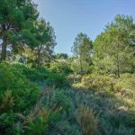 https://respacio-92aeb16a47056cced761e868d944d65d.s3.eu-west-3.amazonaws.com/property_attachment/detail_image/property_image_1xtewse0ek_20230220124721.jpg