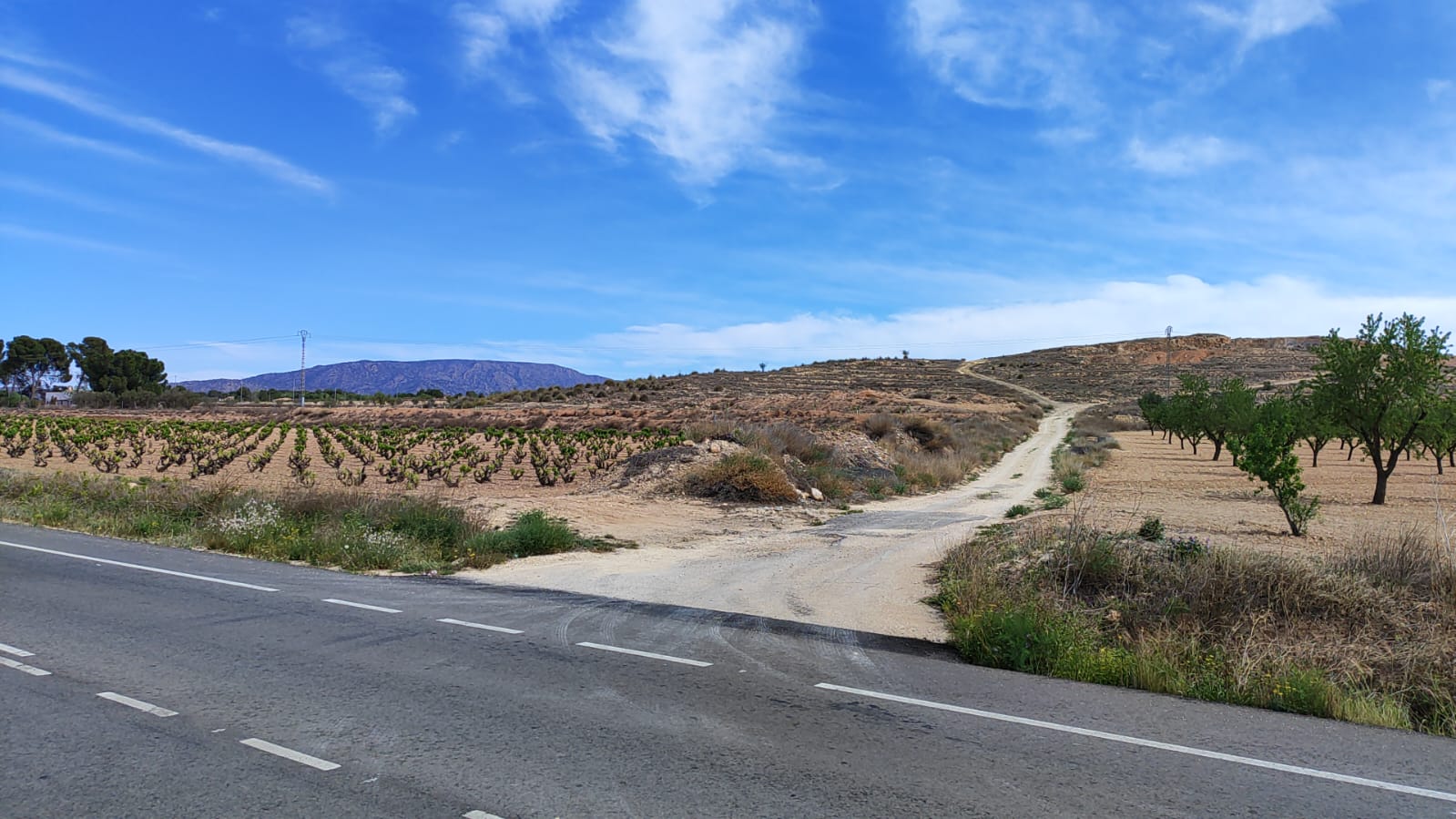 https://s3.amazonaws.com/clients.opgroup.listingphotos/11272_large_plot_for_sale_pinoso_070924114555_img_20240906_wa0023.jpg