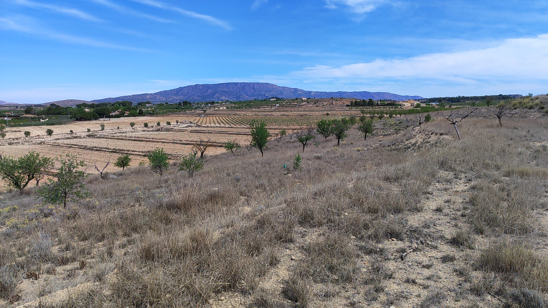 https://s3.amazonaws.com/clients.opgroup.listingphotos/11272_large_plot_for_sale_pinoso_070924114554_img_20240906_wa0022.jpg