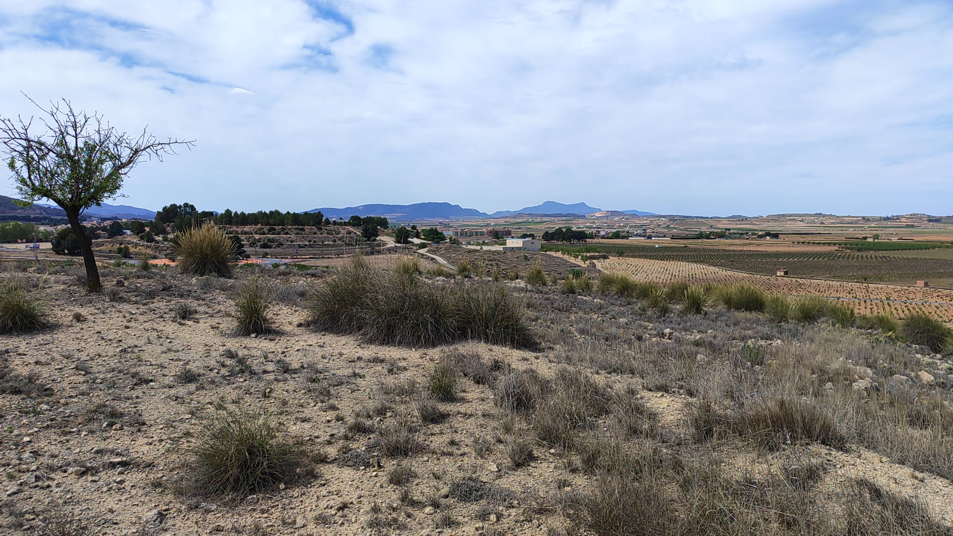 https://s3.amazonaws.com/clients.opgroup.listingphotos/11272_large_plot_for_sale_pinoso_070924114552_img_20240906_wa0015.jpg