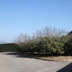 https://bluemedspain.com/wp-content/uploads/2020/10/LA3.jpg
